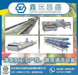 果蔬清洗设备生产厂家 浙江果蔬清洗设备 鑫沅昌盛专业食品机械