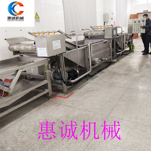 【厂家供应气泡清洗流水线气泡清洗机果蔬清洗机等清洗设备】- 