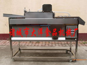 果蔬清洗去杂机,果蔬清洗去杂机生产厂家,果蔬清洗去杂机价格