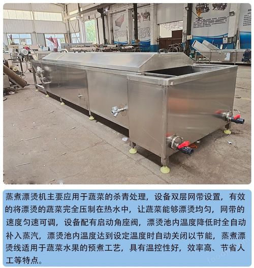 毛豆清洗设备 果蔬加工成套设备