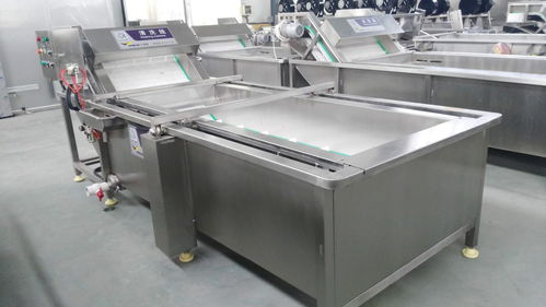 万利源红枣清洗烘干与姑娘果清洗去皮机 食品机械设备的洗涤革新