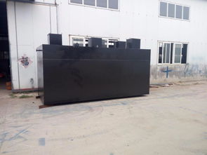 高效洁净，守护环境 地埋式豆类加工污水处理与洗涤设备解决方案